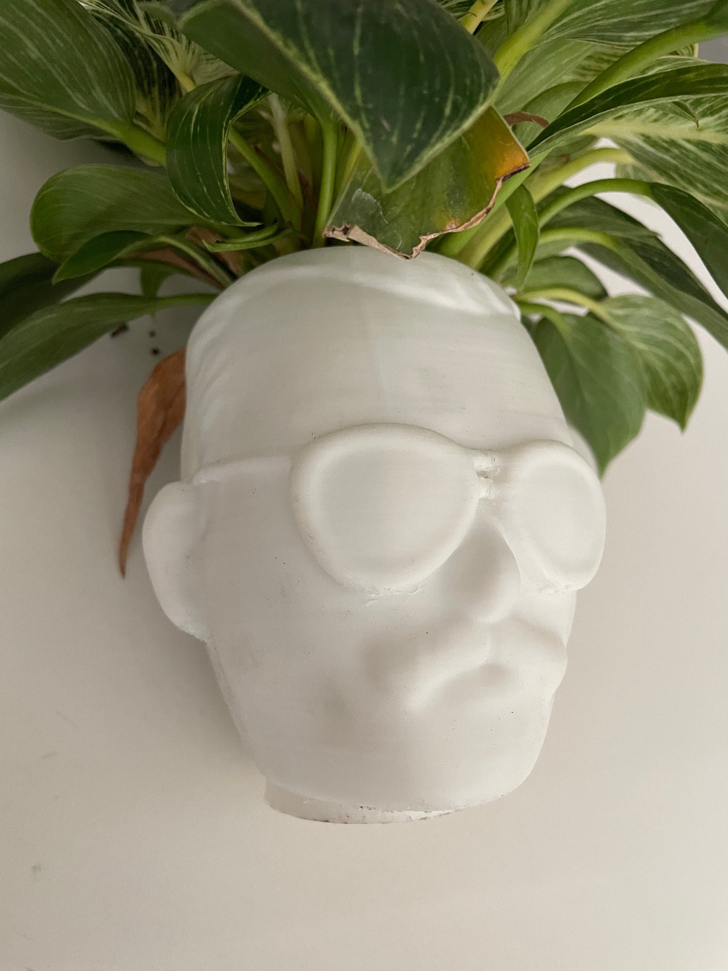 Macetero Freddie Mercury 3D