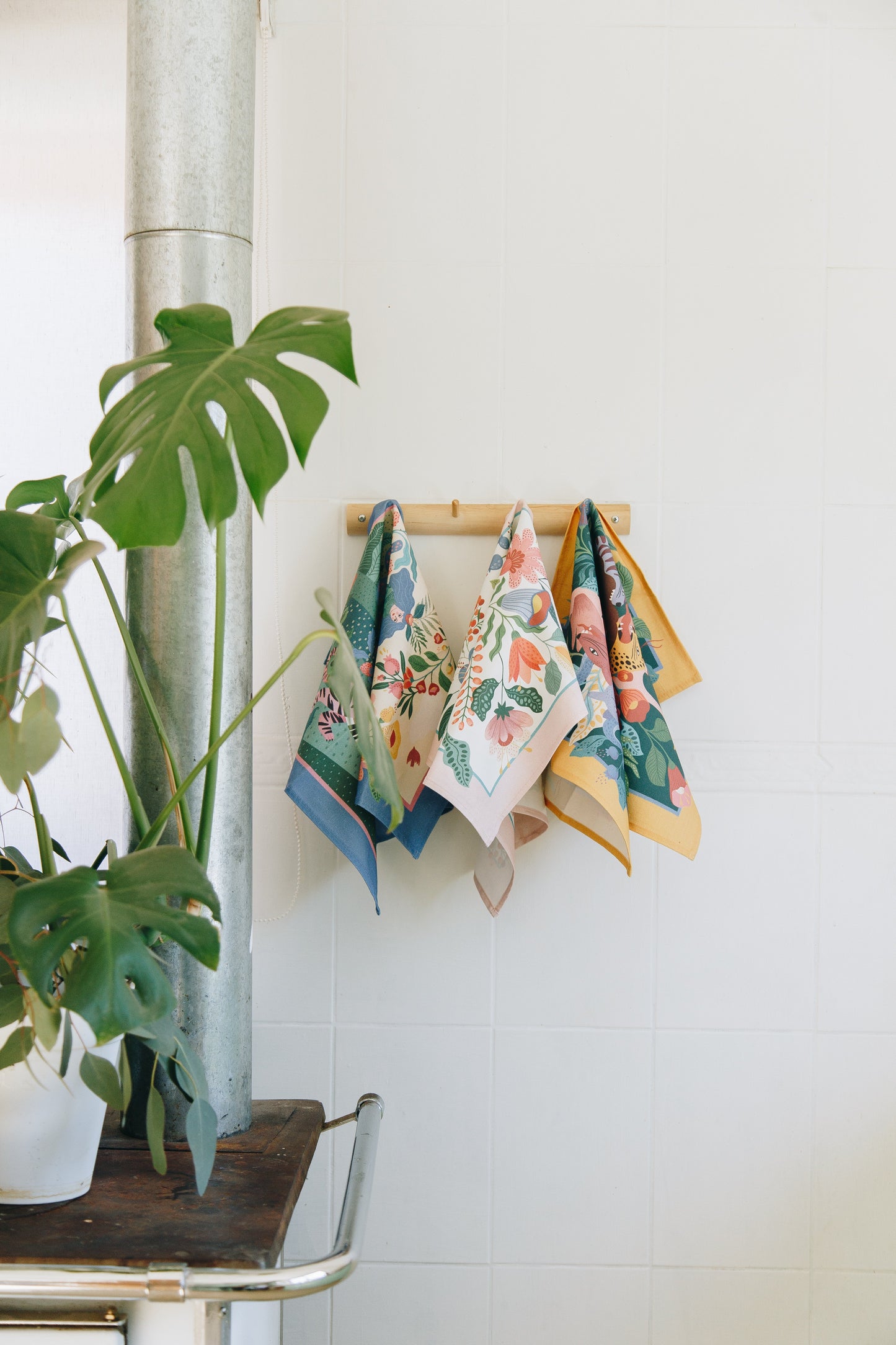 Set paños de cocina