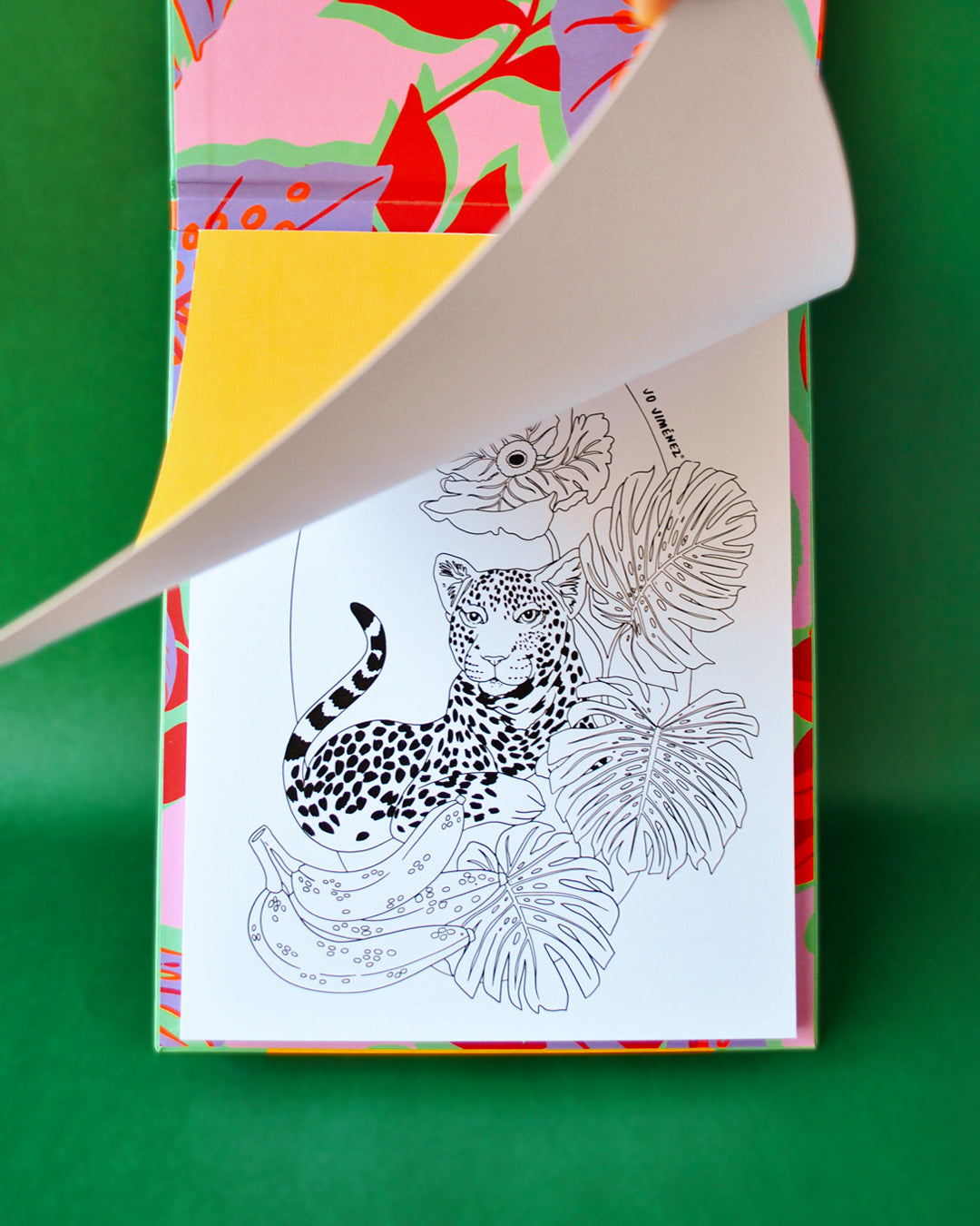 Libro Tropicalia