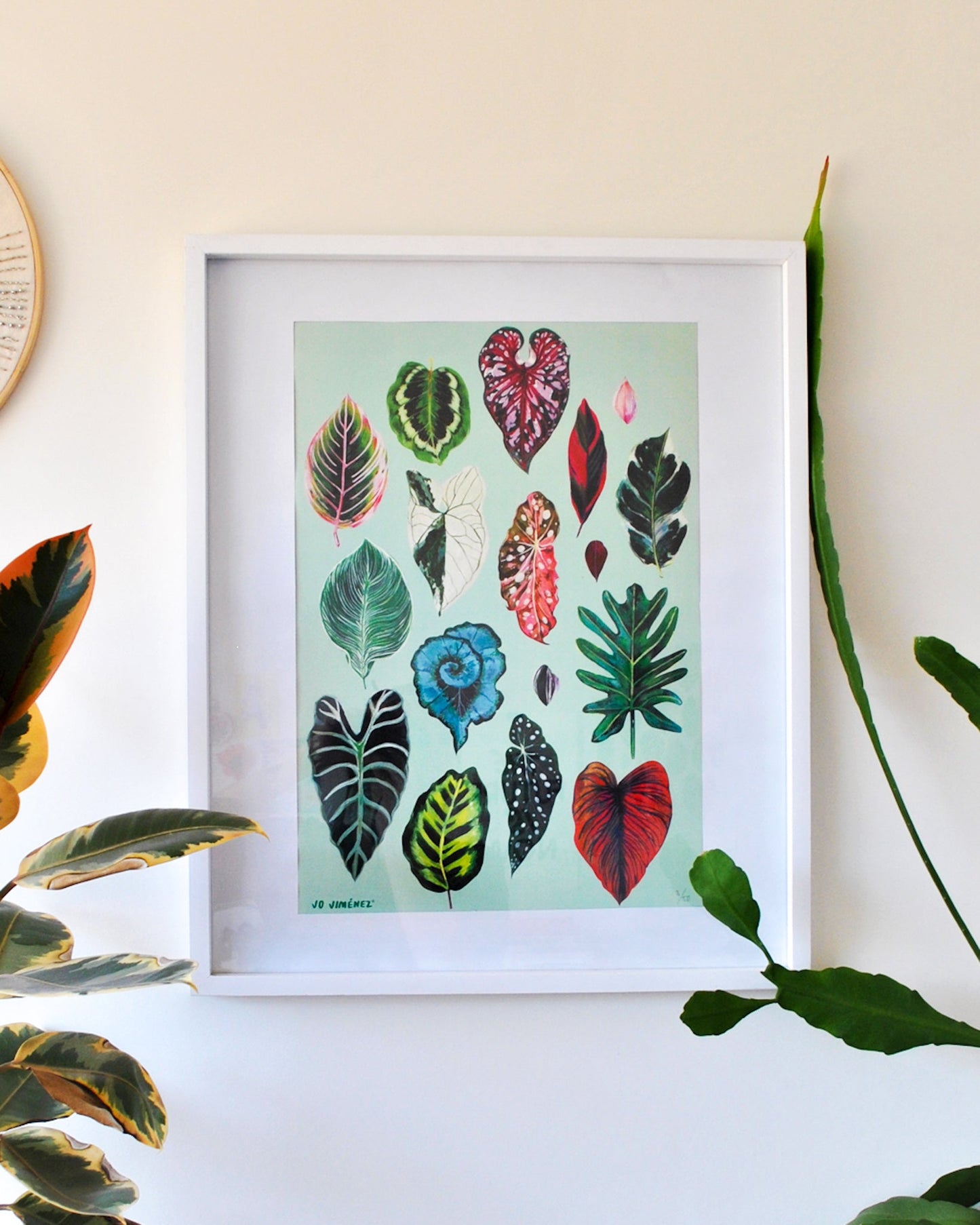 Print Tropicalia