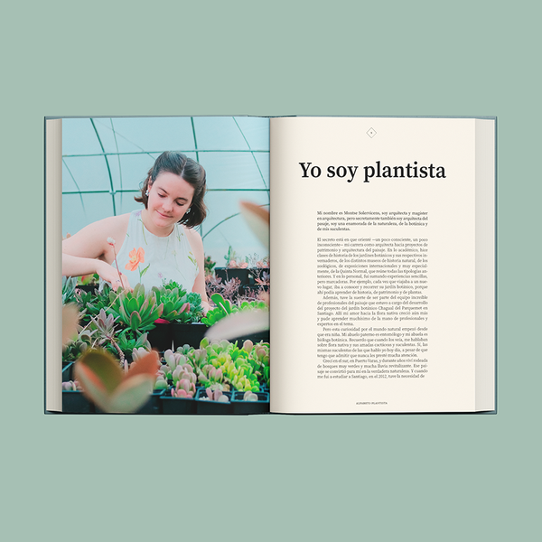 LIBRO ALFABETO PLANTISTA