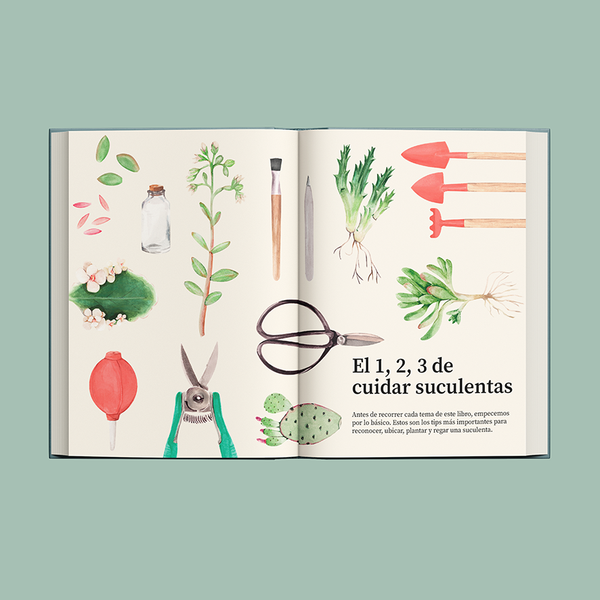 LIBRO ALFABETO PLANTISTA