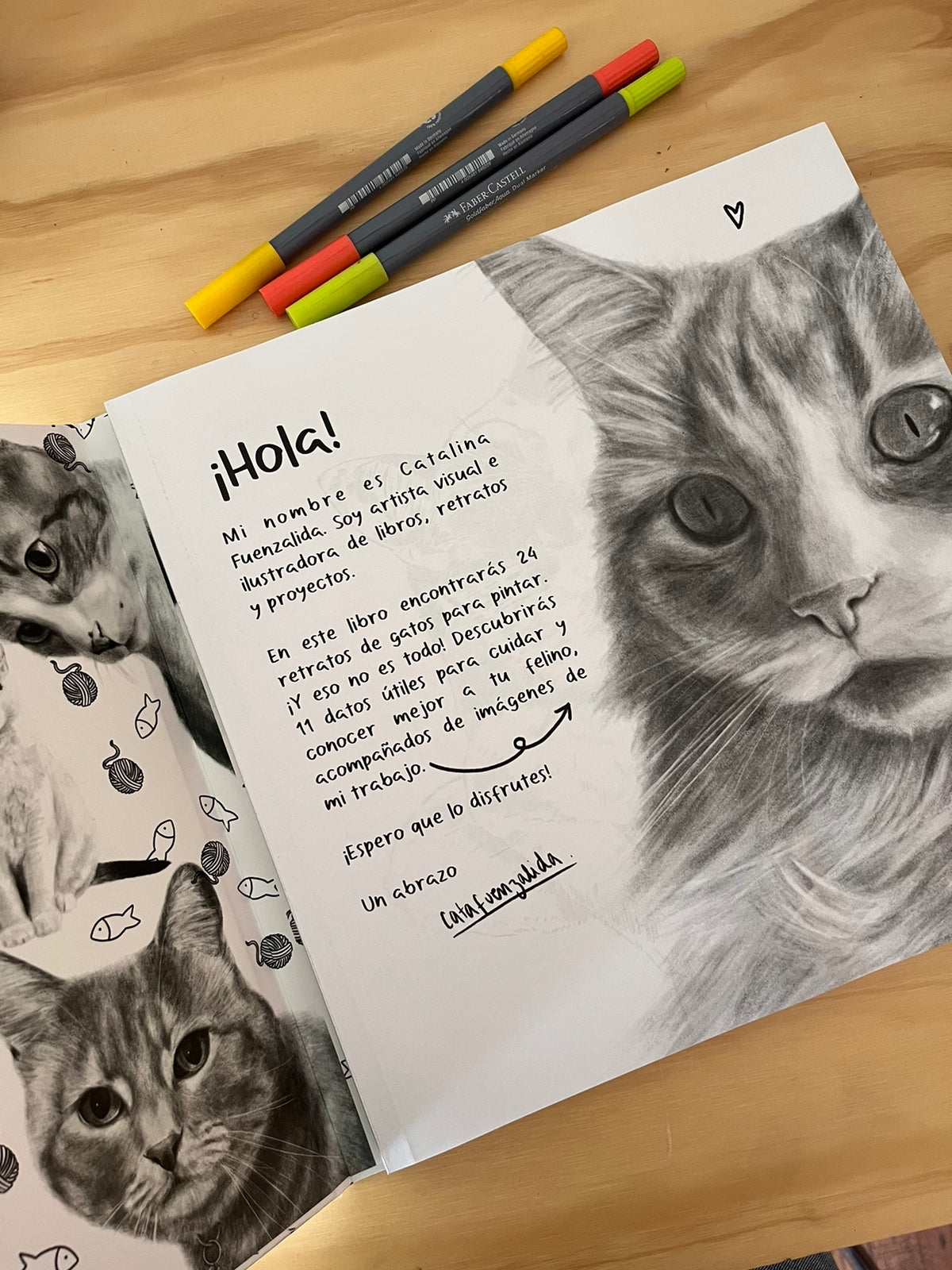 Libro Gatos por Cata Fuenzalida