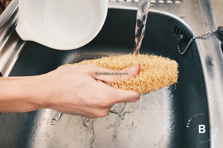 Luffa mediana