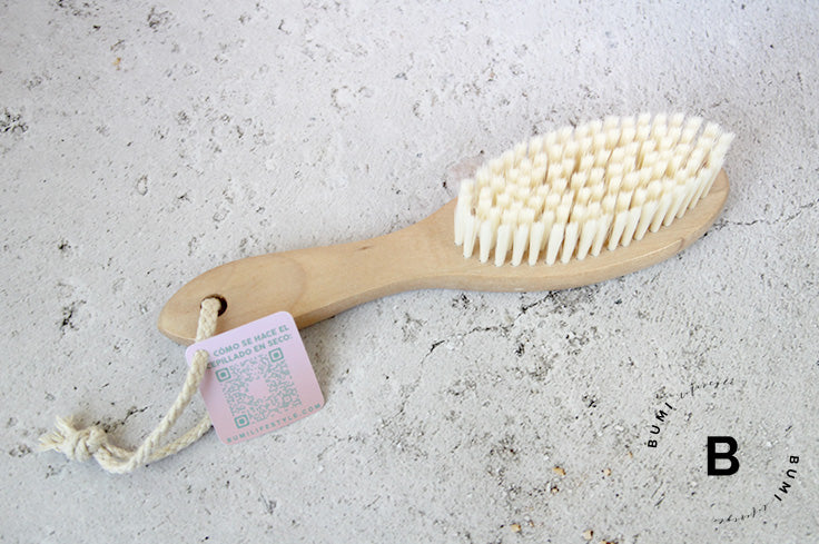 Escobilla cepillado en seco