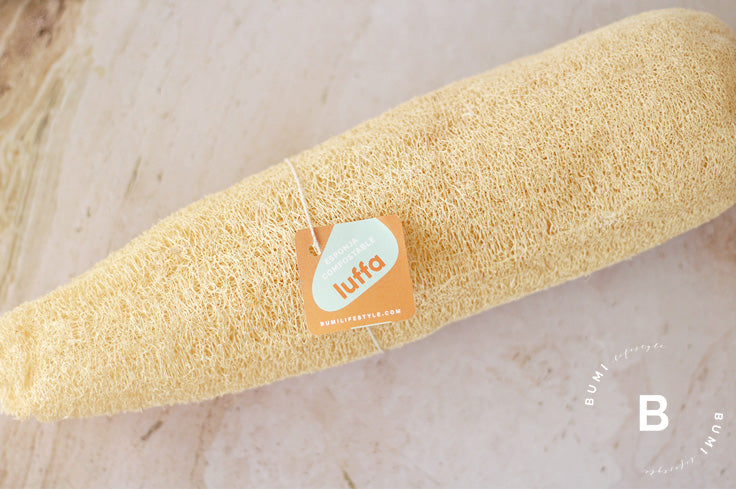 Luffa mediana