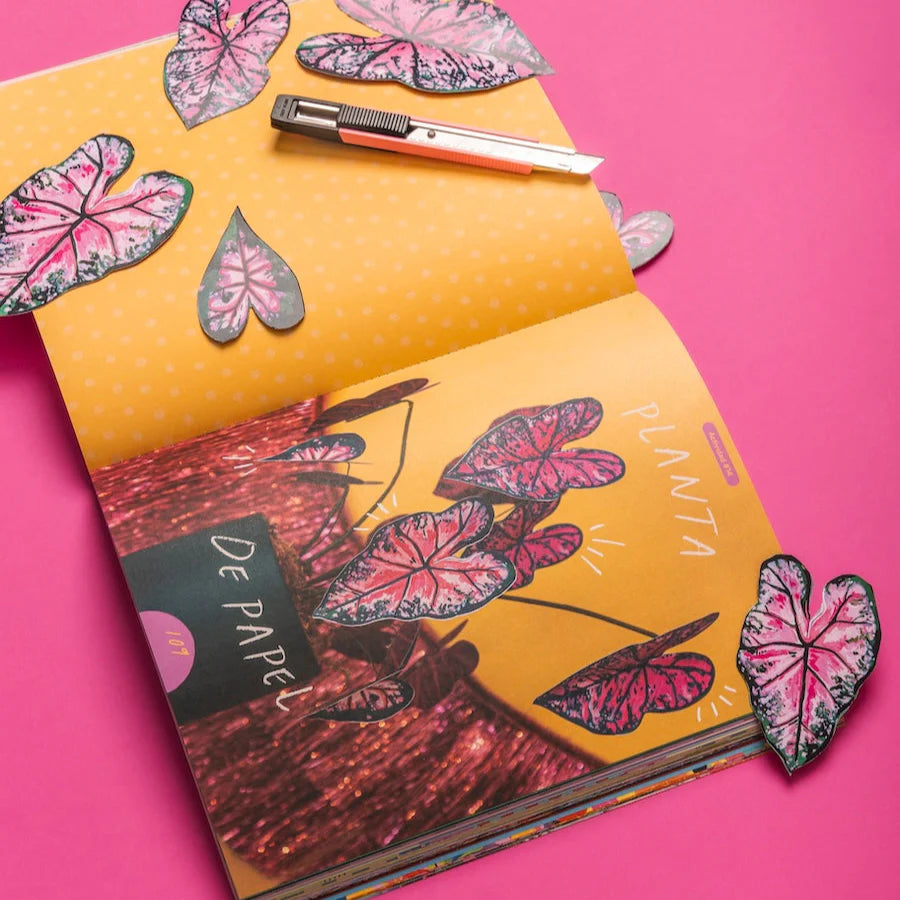 Libro Fiesta 30 de Jo Jiménez