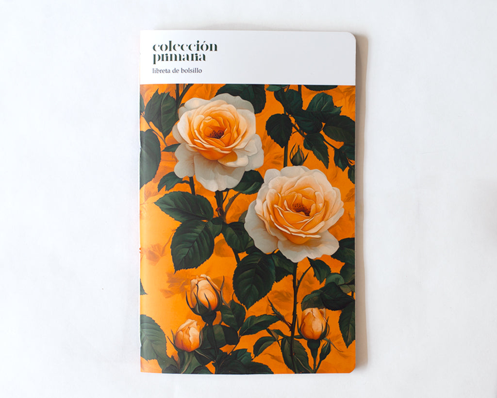 Libretas A5 colección Primaria