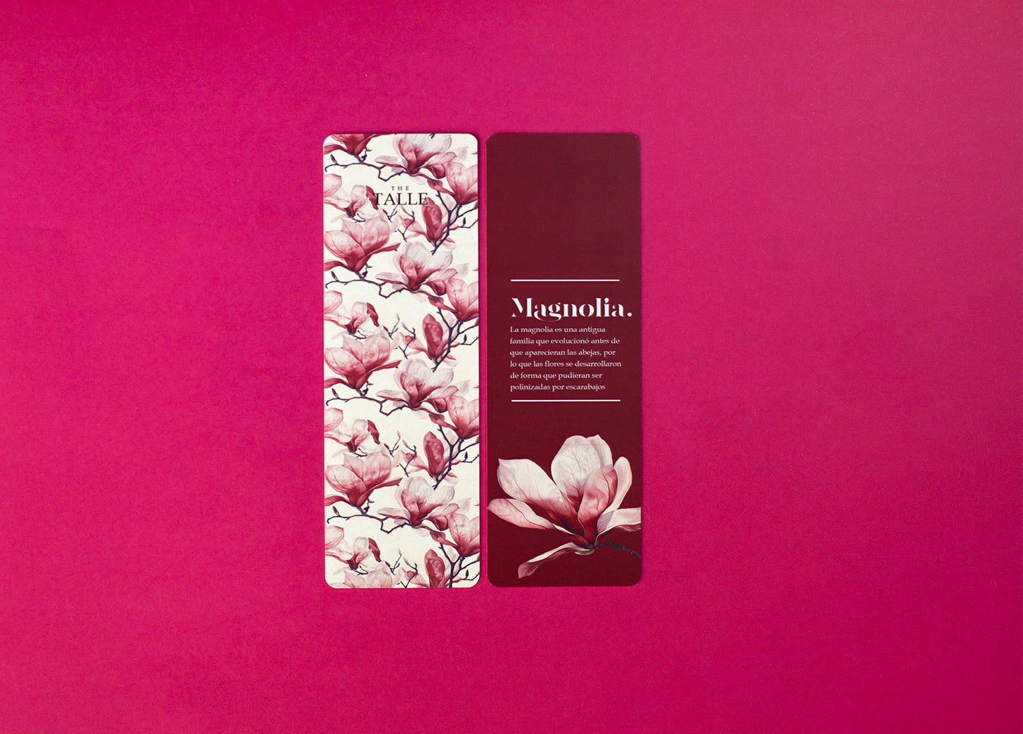 Marcapaginas colección primaria thetalle