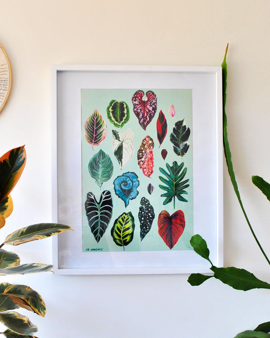 Print Tropicalia