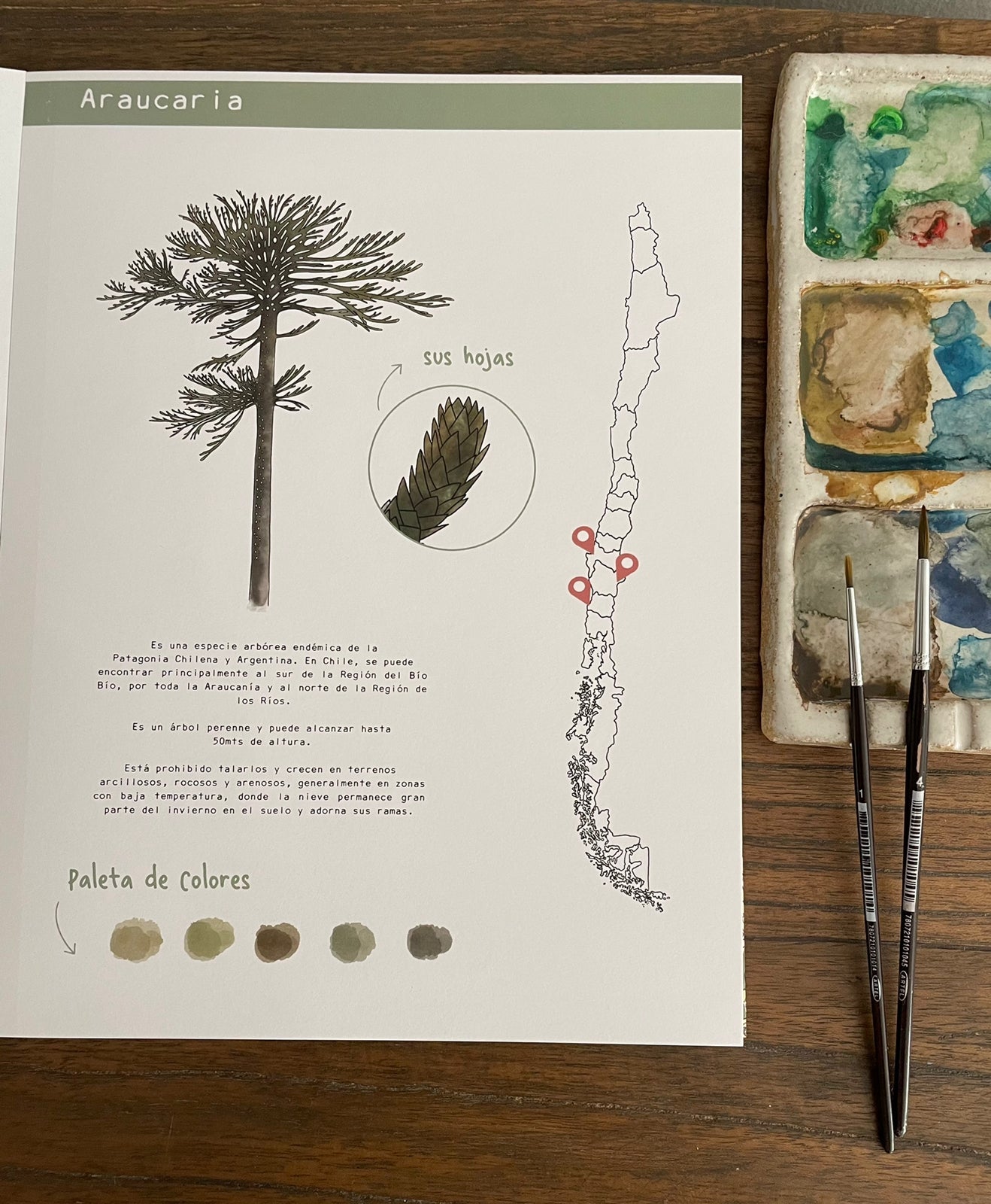 Libro Fauna y Flora por Vicky Aguirre